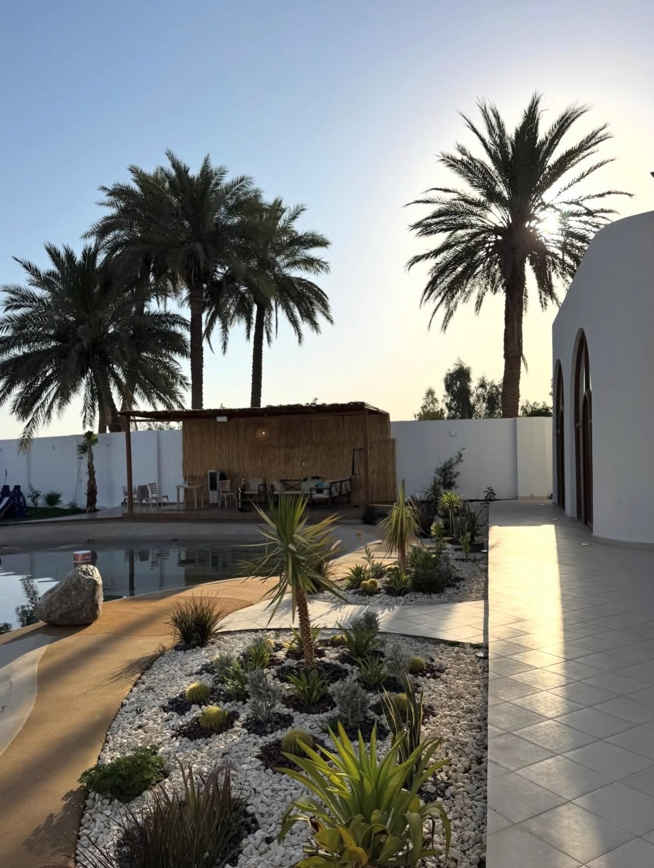 Lagoon-style pool, palms, pebble beds and desert planting beside a white villa at sunset