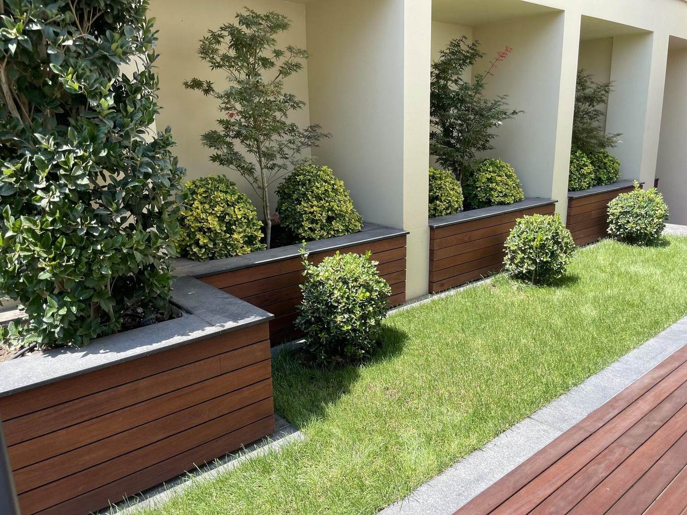 Timber planters with stone copings, clipped shrubs, maples and newly laid lawn